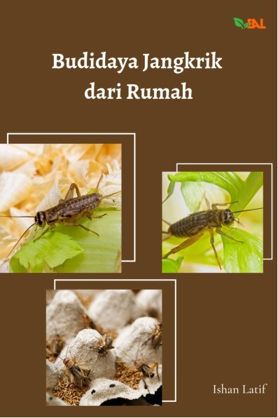 Budidaya Jangkrik dari Rumah